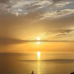 �����, ������, 50 ���