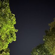 , 31 , 