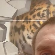 �����, 56 ���, ���������