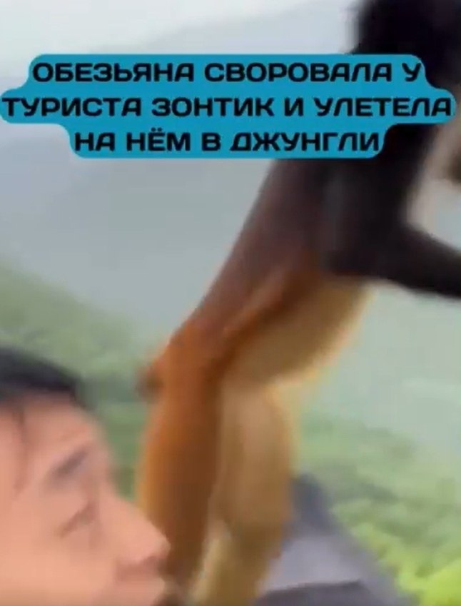 ea paa o  pca  eea a   .a apa o, a pa oo pae ... - 2