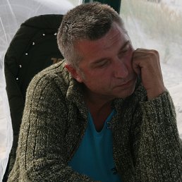 ���� �������, �����������, 54 ���� - ��������� 16 ������ 2026