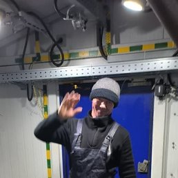 , 55, 