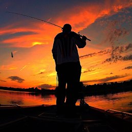 ������, ���������