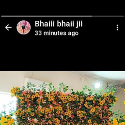 Sonu, �����������, 22 ����