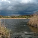  , , 39  -  3  2024    2024 (3.03.2024. 21:46)