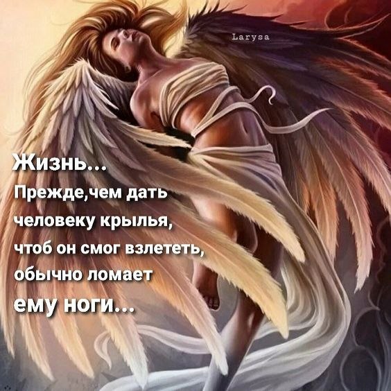₪╬═►  ||  ||  ◄═╬₪ - 22  2023  13:36