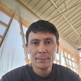 , 37, 