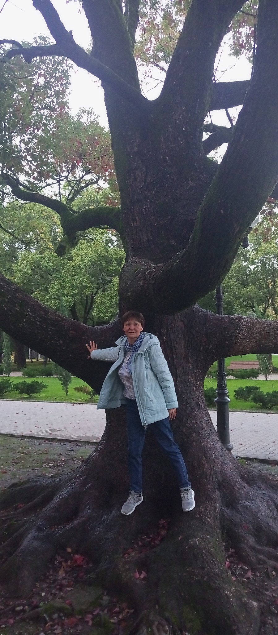  !** - 6  2025  11:00