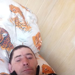 ����� ��������, ������, 44 ����