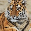 ���� S, ������, 64 ���� - ��������� 5 ����� 2024 � ������ ���� ����������