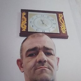 ������, ������, 45 ���