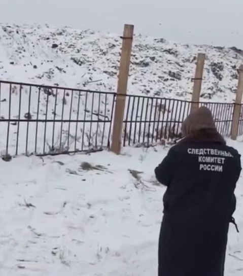   :     .         ... - 2