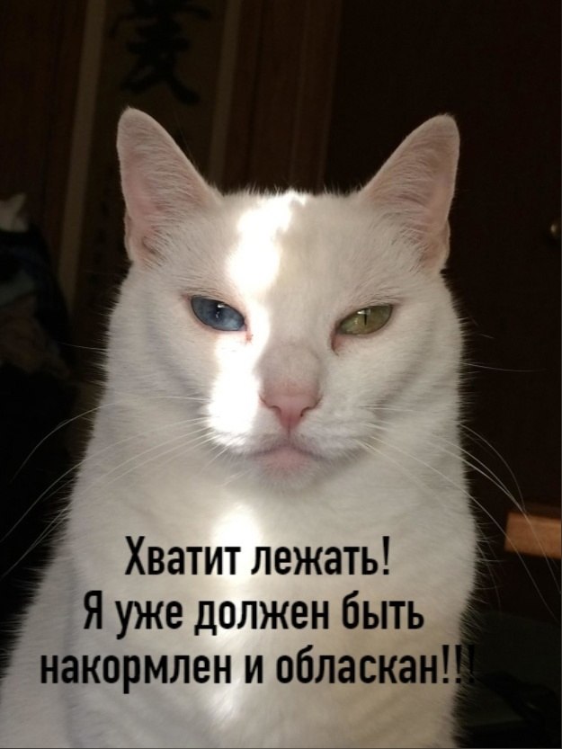  )