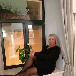 ���� ������, �����-���������, 50 ��� - ��������� 17 ����� 2026