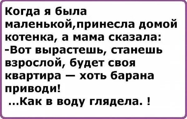   - 9  2025  15:05