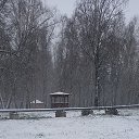 ���� ��������, ������, 34 ���� - ��������� 4 ������ 2023 � ������ ���� ����������