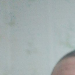 �������, ���������, 41 ���