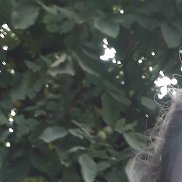 ���, 23 ����, ������