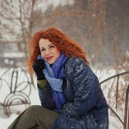 ��������, 41 ���, �����