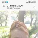 ���� �������, �����-���������, 64 ���� - ��������� 22 ���� 2026 � ������ ���� ����������