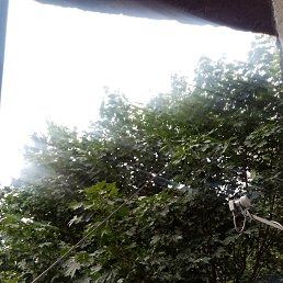 ���� �����, �����������, 47 ��� - ��������� 4 ���� 2024