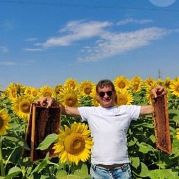 ����, ������, 55 ���