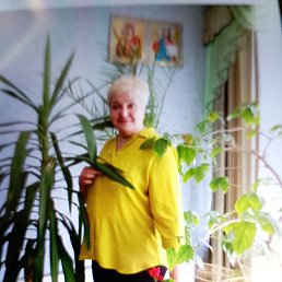 ���� ����, ������ ��������, 62 ���� - ��������� 7 ������ 2026