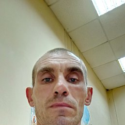 , 41 , 