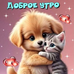 ���� �������, ��������, 52 ���� - ��������� 27 ������ 2025