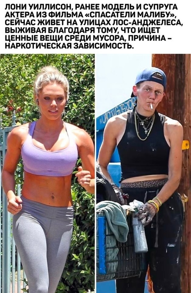  ,   .