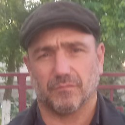 ��������, ���������, 54 ����