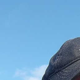 ��������, ������-��-���, 37 ���