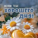 ���� �������, ���� - ��������� 23 ������ 2026 � ������ ������ ��������
