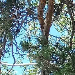 ������, ��������, 48 ���