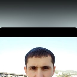 , 33, 