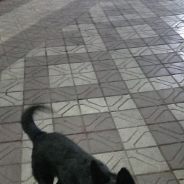 ���� ����, ������, 23 ���� - ��������� 3 ������� 2024