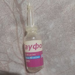 ����, �����, 61 ���