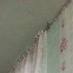 ������, ����������, 33 ����