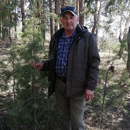 ���� �������, ���������, 77 ��� - ��������� 6 ������� 2023