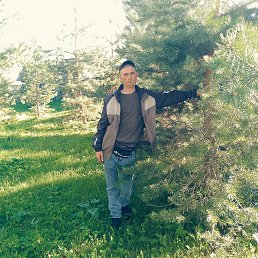 , 38 , 