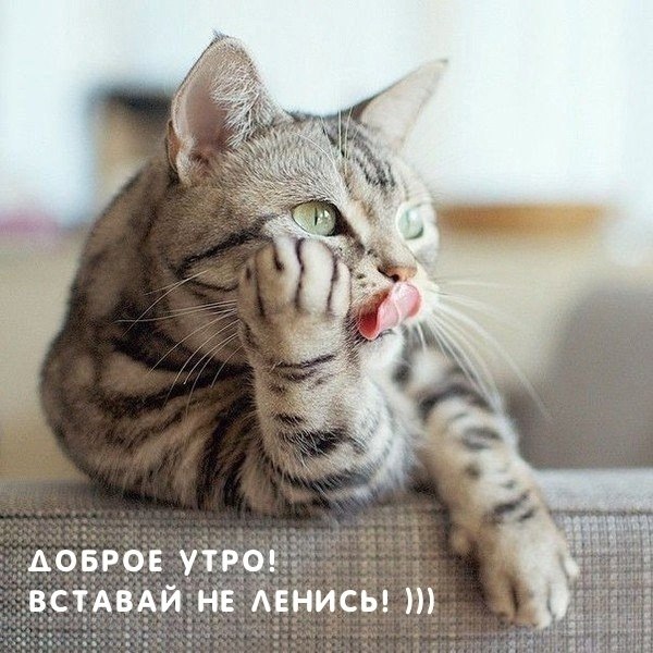 ������ - 15 ������� 2025 � 08:08