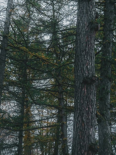 ������� ��������� ������� ������� - 6