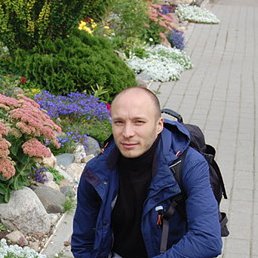 ���������, �������, 41 ���