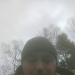 , 31, 