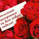 ���� ����, ������ - ��������� 12 ��� 2026 � ������ ������ ��������