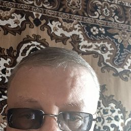 ���� �������, ���������, 53 ���� - ��������� 14 ����� 2026