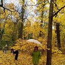  , -, 53  -  20  2025    