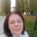 ���� �������, �����������, 48 ��� - ��������� 17 ������� 2024 � ������ ���� ����������