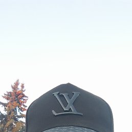 , 41, 