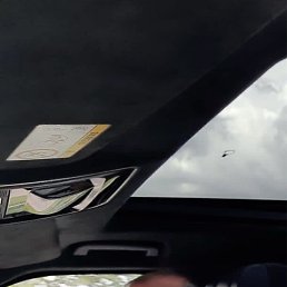 �����, 43 ����, ������